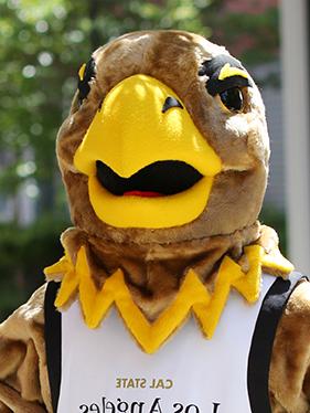 Eddie the Golden Eagle standing in a shady area outdoors.