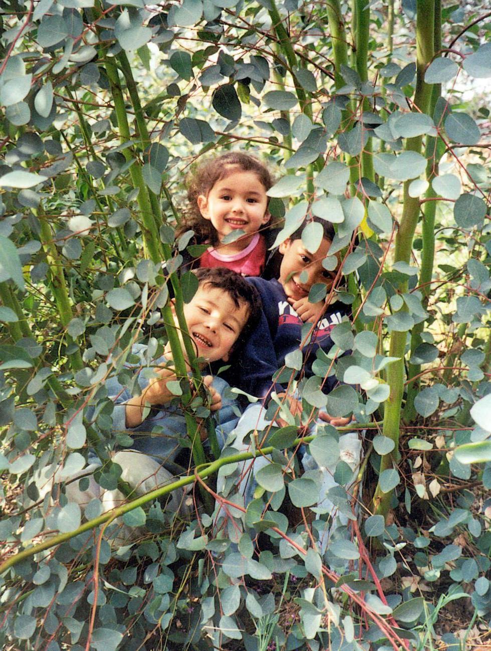 Picture of Child in the Yard