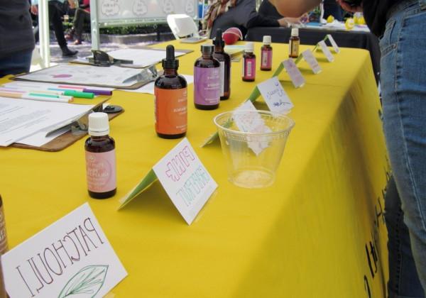 Drop bottles lined up along a table with small placards indicating what they contain.