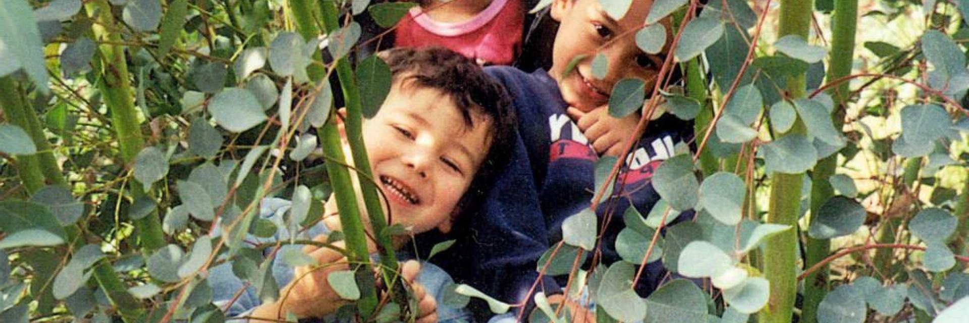 Picture of Child in the Yard