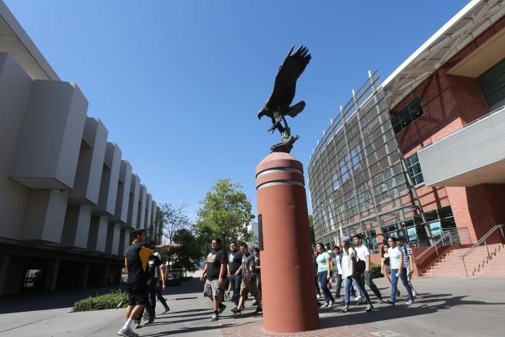 Cal State LA golden eagle